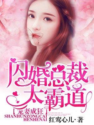 闪婚总裁宠上瘾全文免费阅读