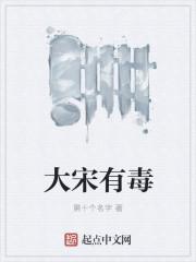 大宋有毒讲什么